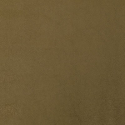 Silver State Old English Vert